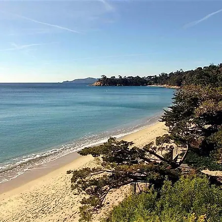 Appartamento 2 Pièces Avec Terrasse, Proche Et Commerces, Parking Privé, Au Lavandou - Fr-1-251-538 Le Lavandou