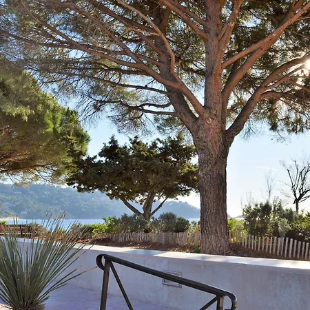 Apartmán 2 Pieces Avec Terrasse, Proche Et Commerces, Parking Prive, Au Lavandou - Fr-1-251-538 *