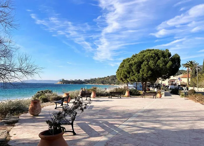 2 Pieces Avec Terrasse, Proche Et Commerces, Parking Prive, Au Lavandou - Fr-1-251-538 Le Lavandou